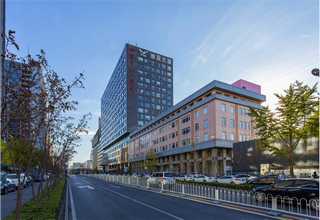 家装水泥防水背胶销售厂