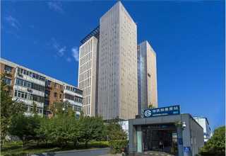 广东名家斫琴音色好不好